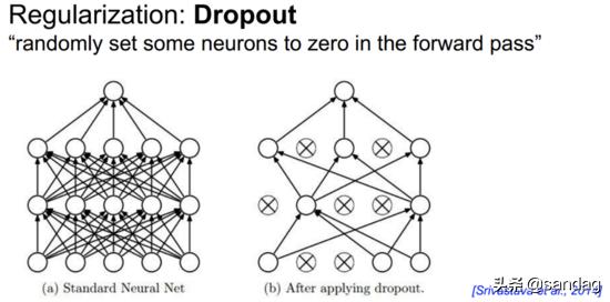 cnn卷积神经网络反向传播,一文入门卷积神经网络cnn通俗解析