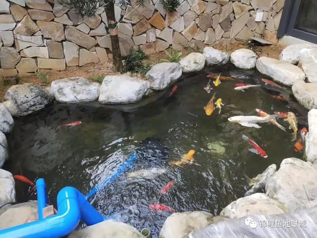 <html>
<head><title>502BadGateway</title></head>
<body>
<center><h1>502BadGateway</h1></center>
<hr><center>nginx</center>
</body>
</html>
<!--apaddingtodisableMSIEandChromefriendlyerrorpage-->
<!--apaddingtodisableMSIEandChromefriendlyerrorpage-->
<!--apaddingtodisableMSIEandChromefriendlyerrorpage-->
<!--apaddingtodisableMSIEandChromefriendlyerrorpage-->
<!--apaddingtodisableMSIEandChromefriendlyerrorpage-->
<!--apaddingtodisableMSIEandChromefriendlyerrorpage-->
