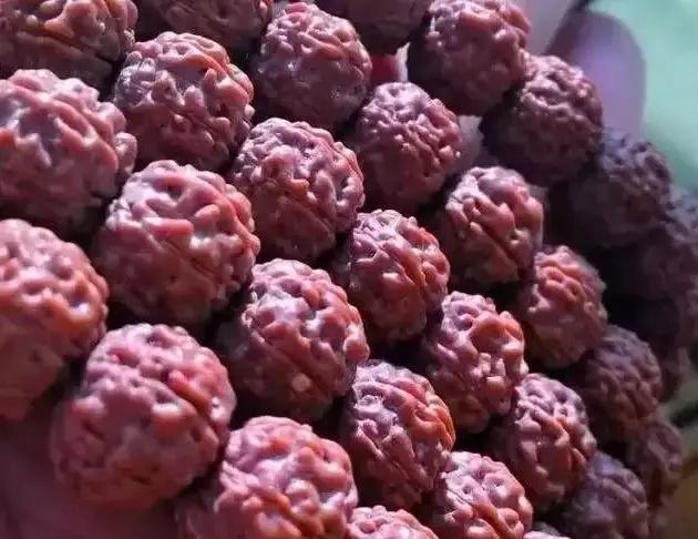 小金刚菩提深度清理,小金刚菩提如何快速清理干净