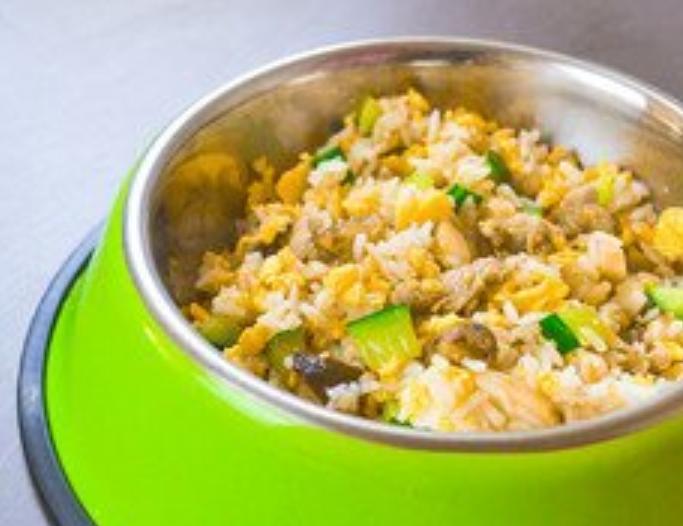 狗狗身上有癣怎么治好要多久,狗的身上起癣怎么在家治