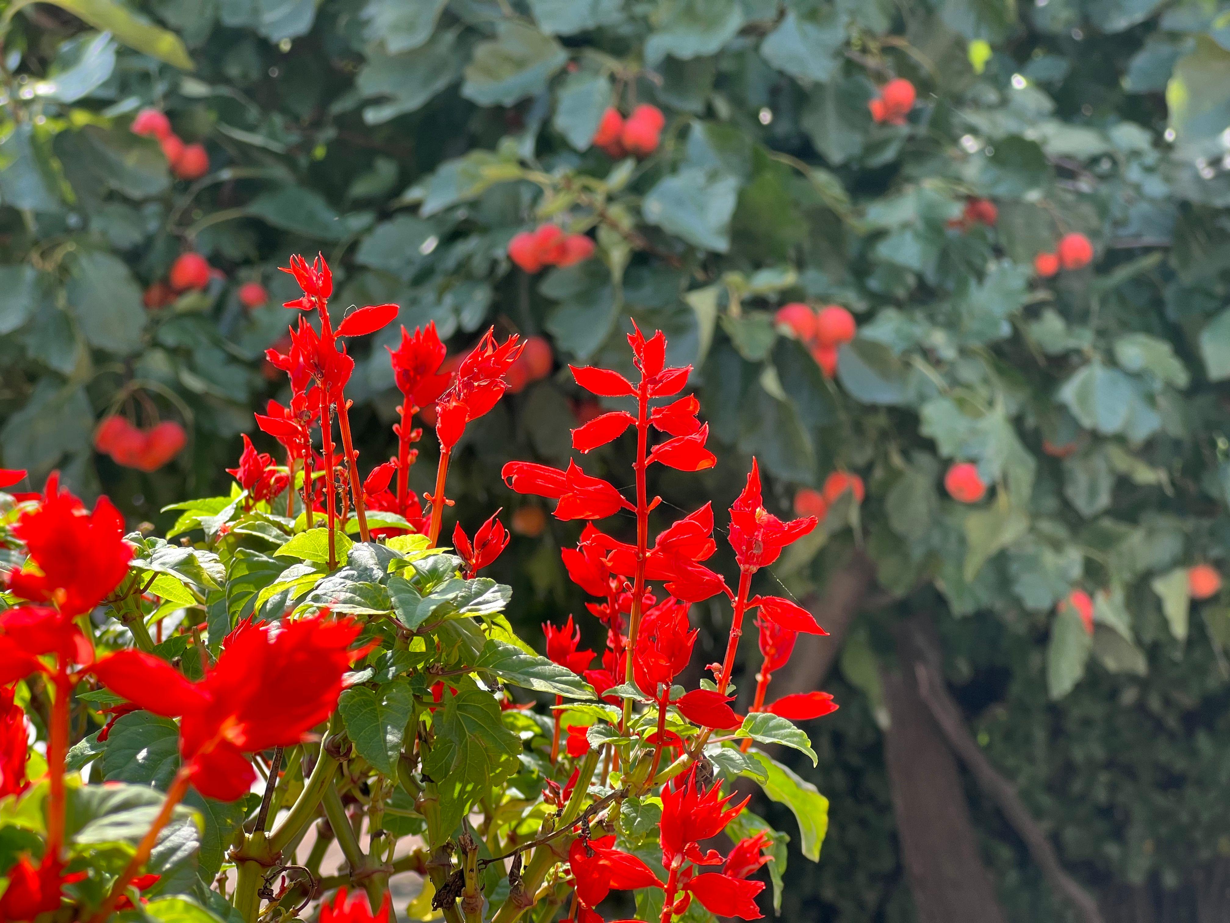 为什么建议你入手iphone13pro,iphone13pro体验总结