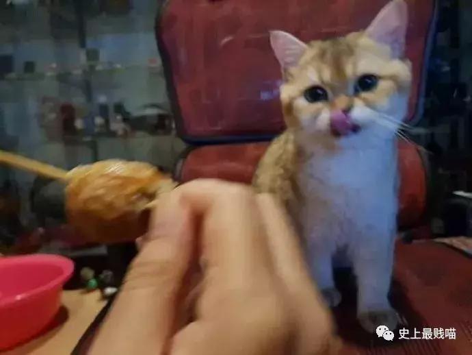 如何委婉地表达最近手头有点紧,怎样委婉的表示自己手头有点紧