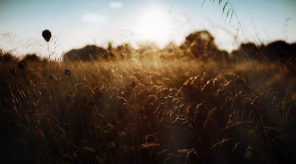 成功只是一时的失败才是常态姚晨,成功只是一时失败才是永远的
