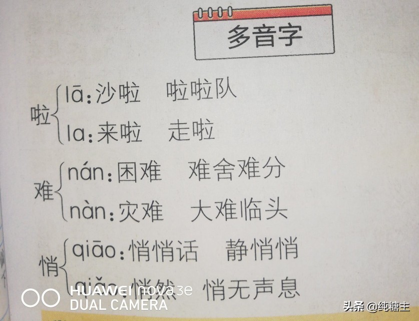 三年级语文上册搭船的鸟预习笔记,三年级搭船的鸟课文笔记