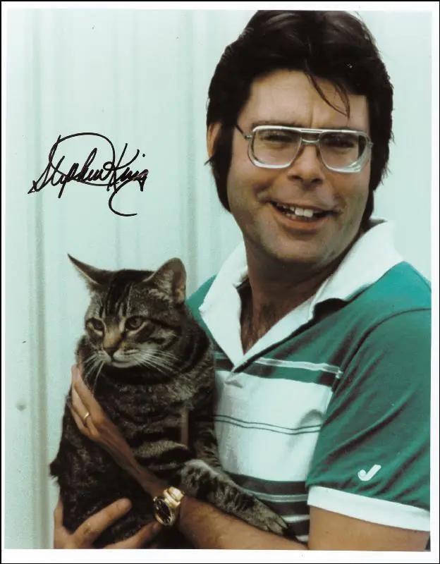 来了!我们的第3本科幻选集《猫不存在》