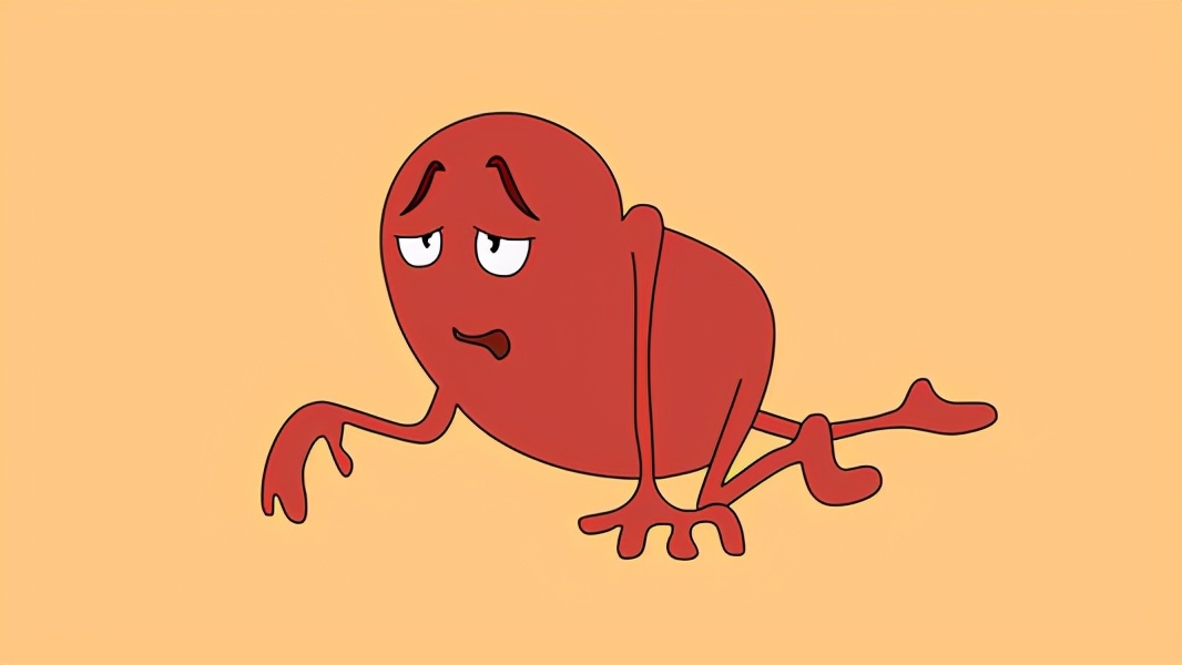 什么茶最补肾养肾护肾,养肾补肾护肾对肾好的中成药