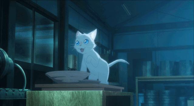 这部温情的撸猫片，让我哭得溃不成军，这是全世界猫*党**的胜利