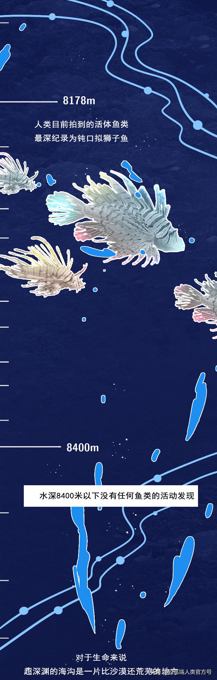 手机掉进水里十几秒有问题吗,手机掉入1000米