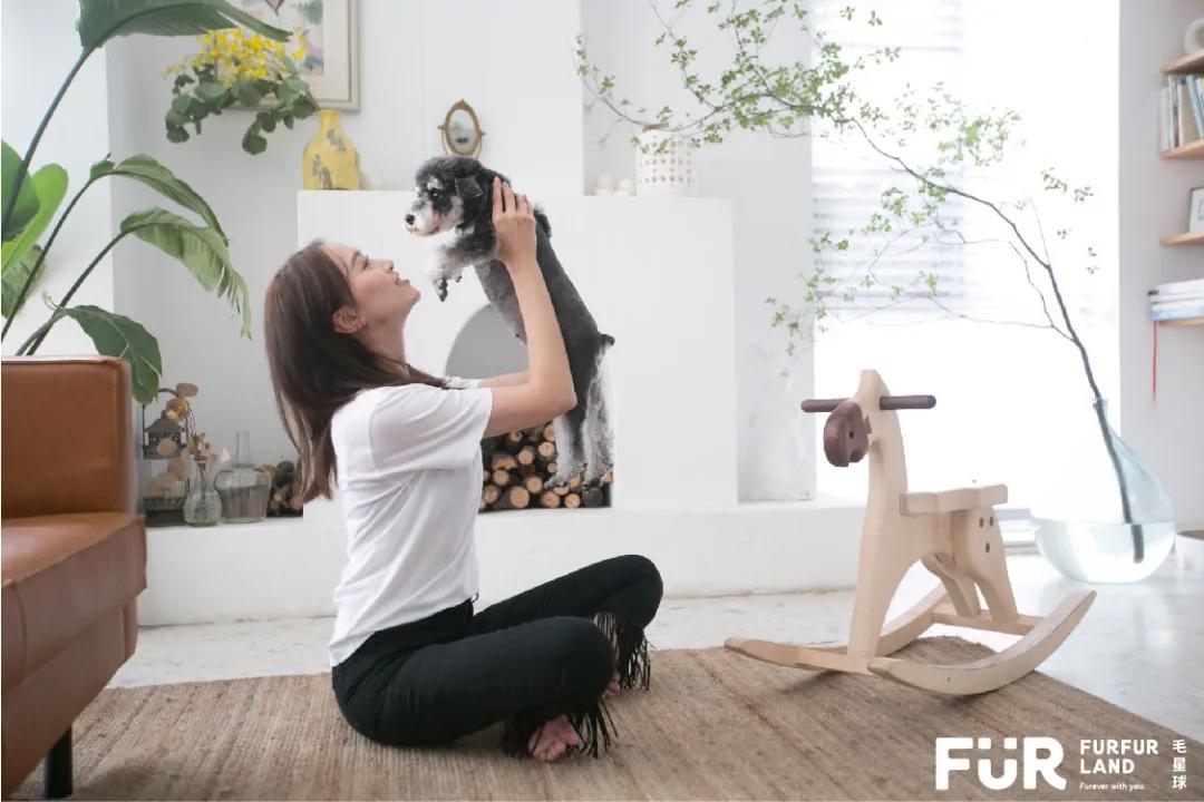 从铲屎官到创业者，他带领FURFURLAND销售额增长15倍