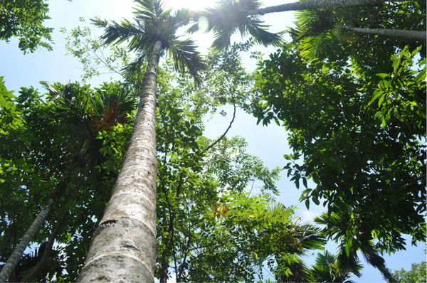 三亚自由行旅游攻略超详细哦,三亚旅游自由行全攻略