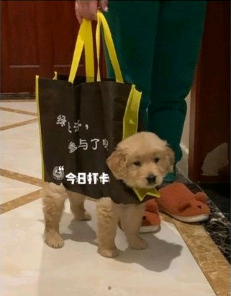 朋友欠我2万块钱能要回来吗,朋友欠了我200块钱