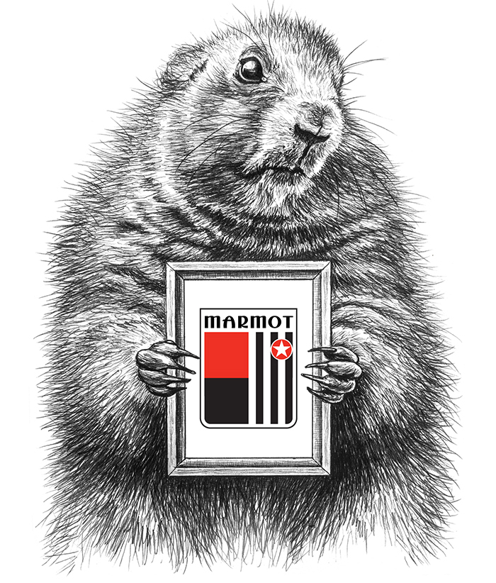 排名前十的碳纤维公路自行车,全球十大超轻碳纤维公路自行车