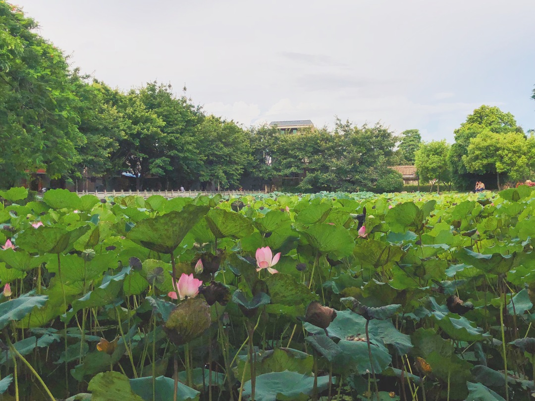 游广州番禺沙湾古镇感悟,广州沙湾古镇