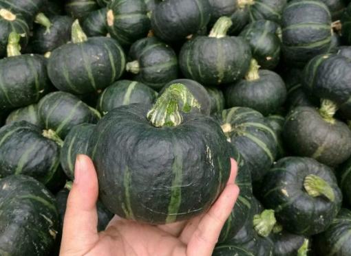 鍘熶骇鑷棩鏈殑姘存灉,鍘熶骇鏃ユ湰澶х背10鍏枻