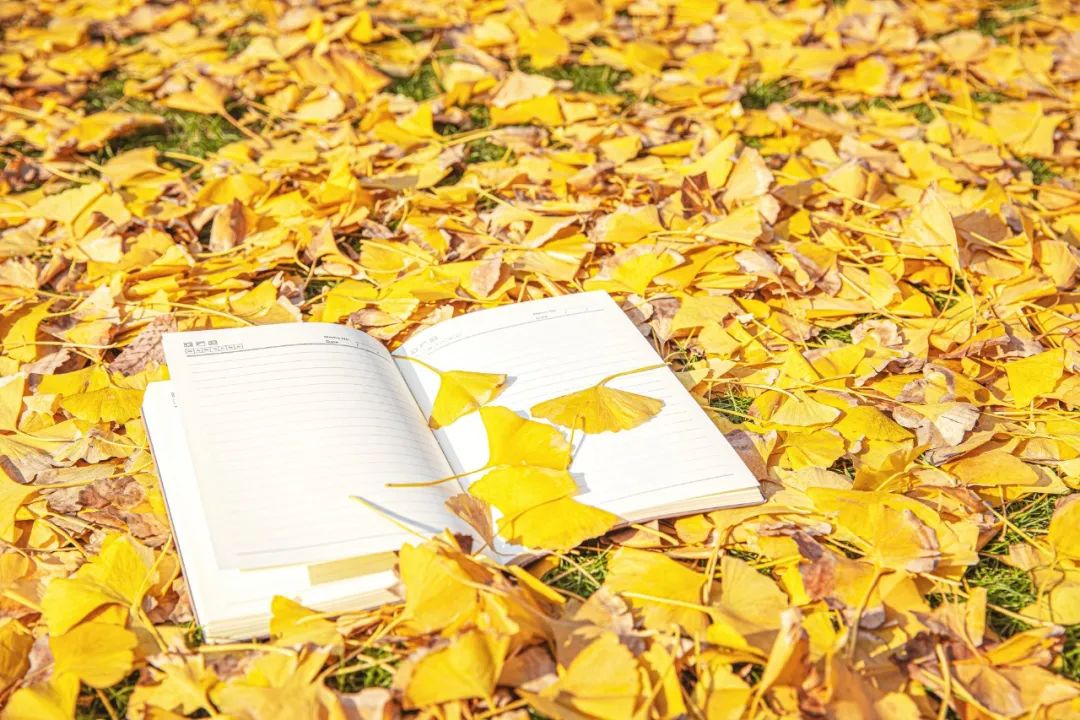 易感冒上火的原因,易上火易感冒吃什么药