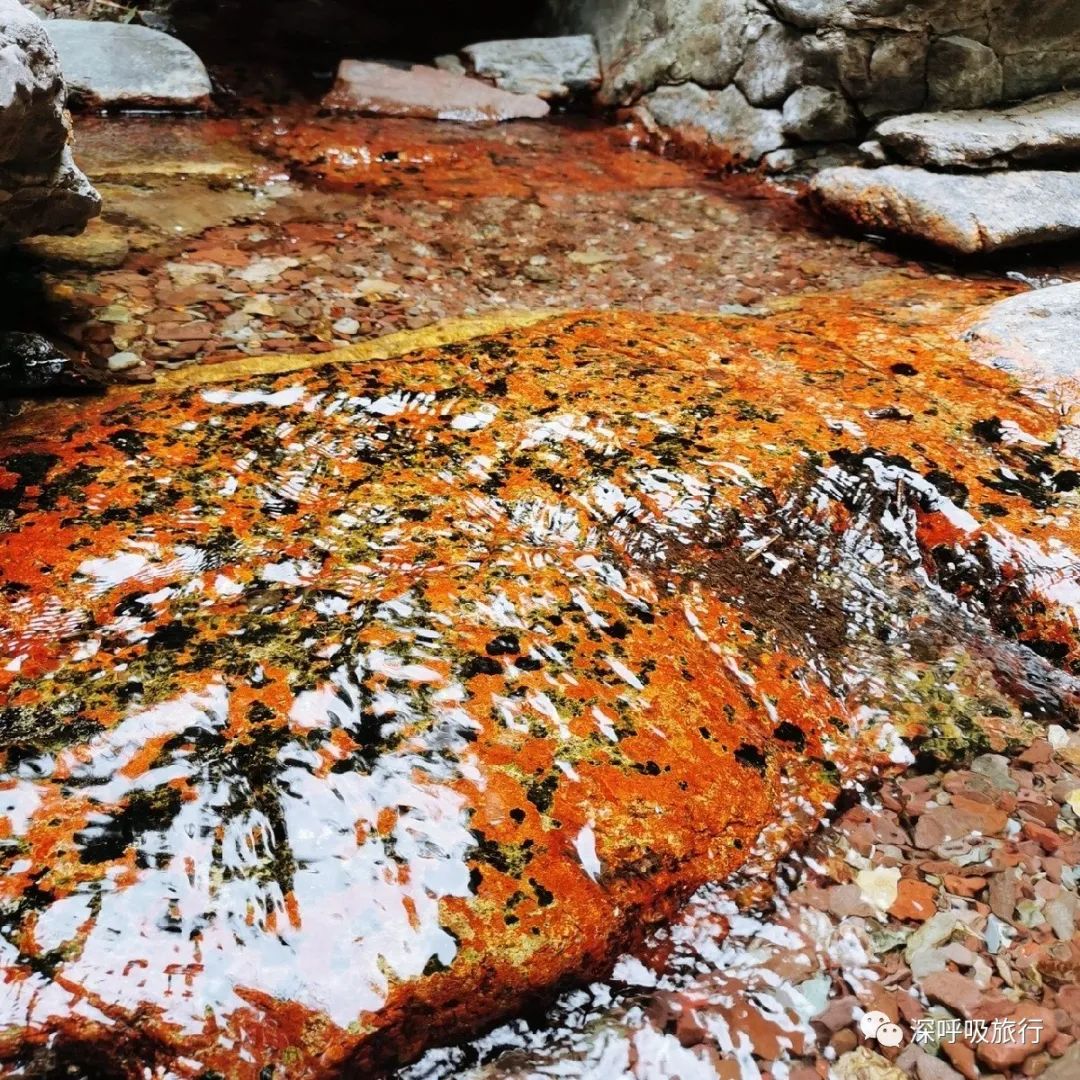 靖西双龙峡网红小火车,京西小九寨二日游