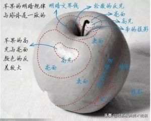 3d绘画入门教程免费学,平板学绘画入门教程