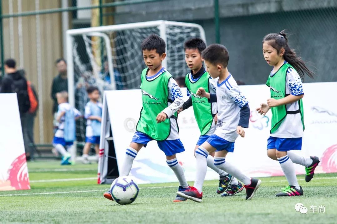 爱踢球的小豹子,爱踢足球的小豹子