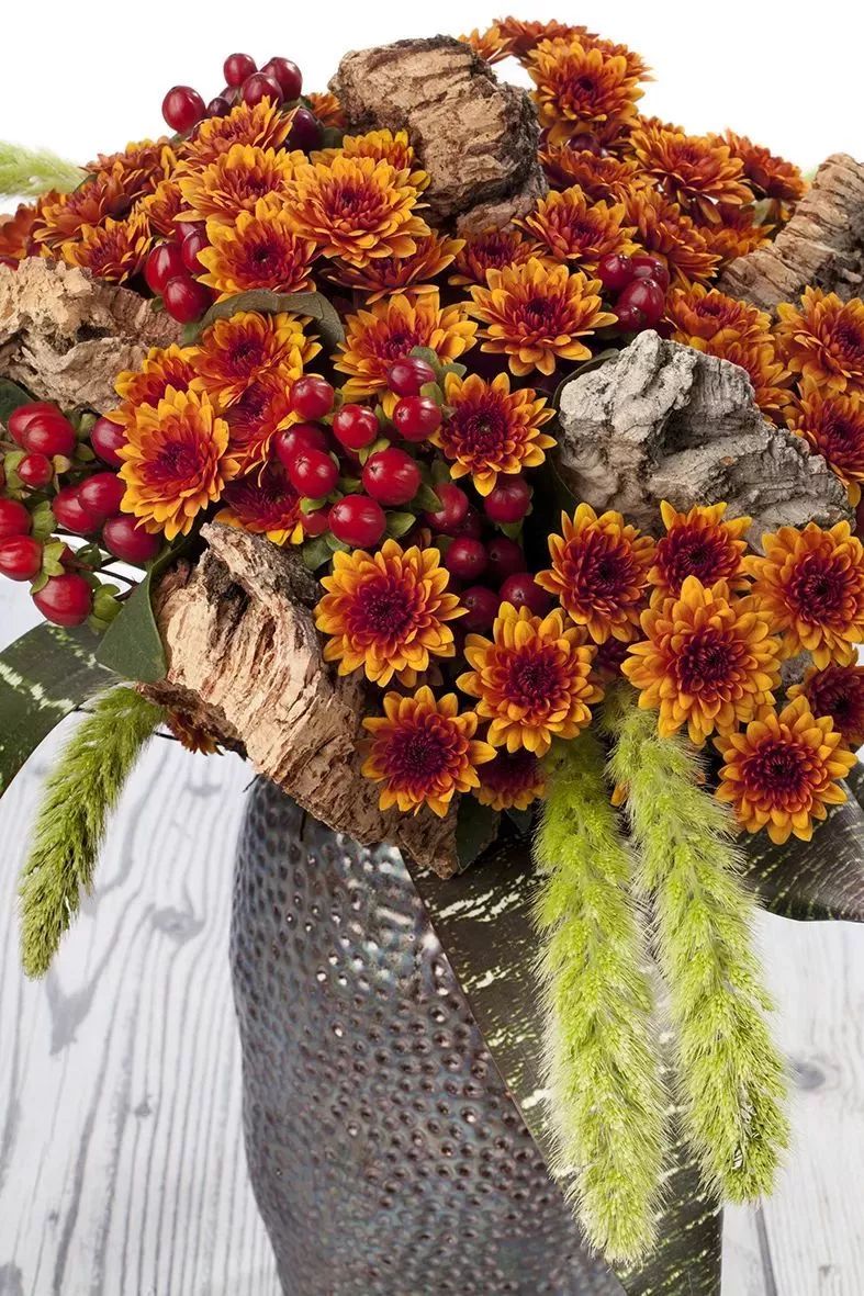 冬季切花菊,银叶菊鲜切花搭配