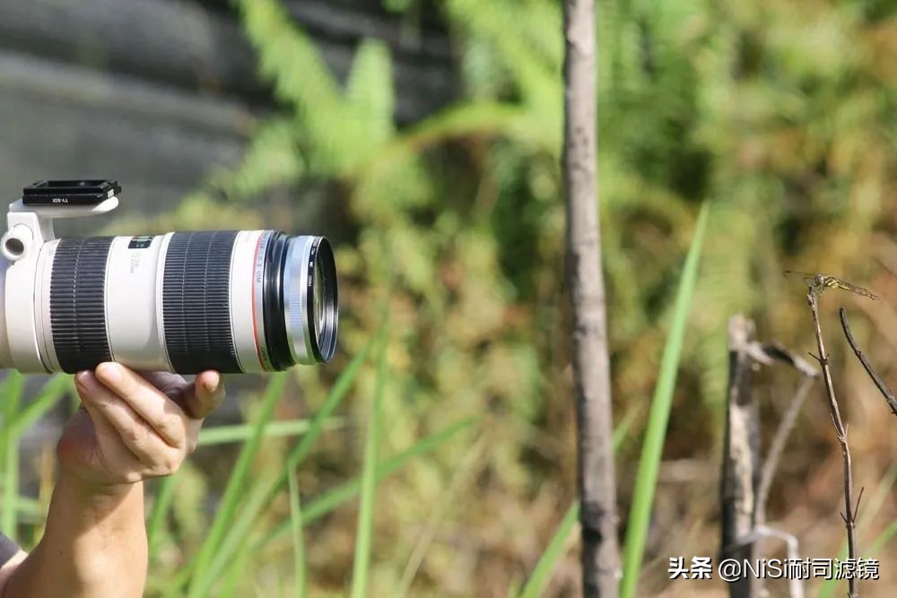 国家地理摄影比赛历年冠军,xpronisi近摄镜评测