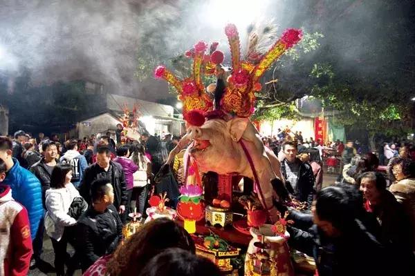 猪年说猪,猪年趣谈猪