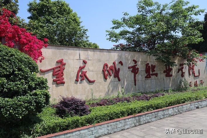 重庆高职城的职业学院,重庆高职城有什么学校