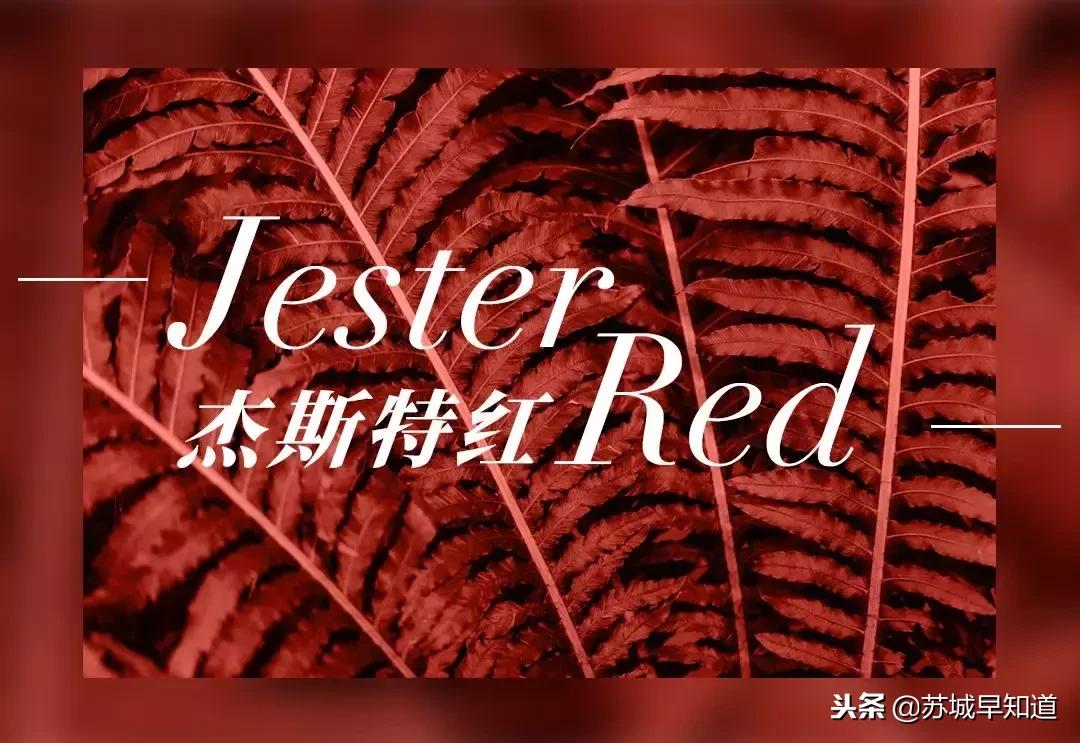 奕欧来元旦2021,奕欧来优惠