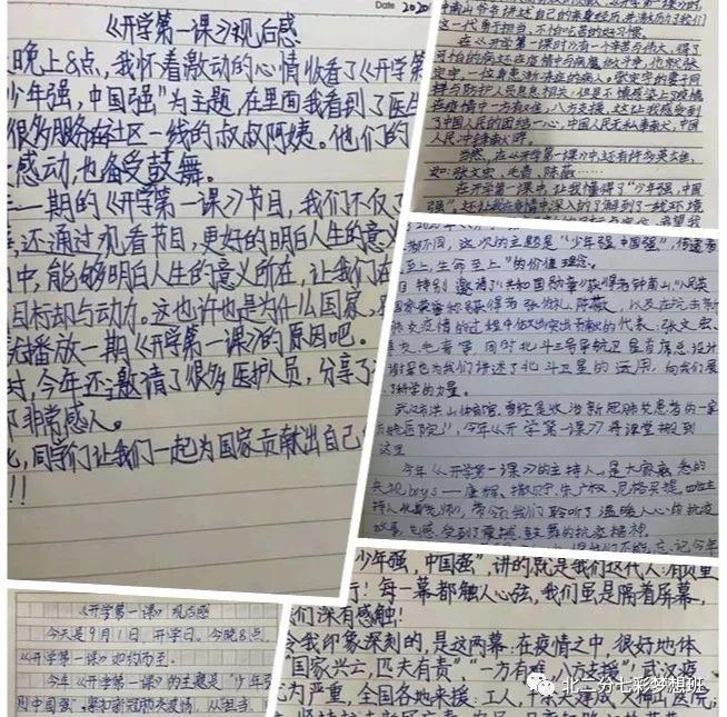 谱和谐之曲走奋进之路——延新一小五年级七班和谐团队申报专题