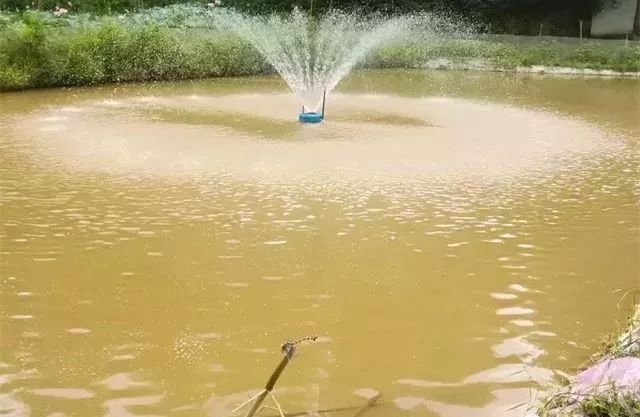 夏季铁锈水怎么来的,夏季容易生锈的原因