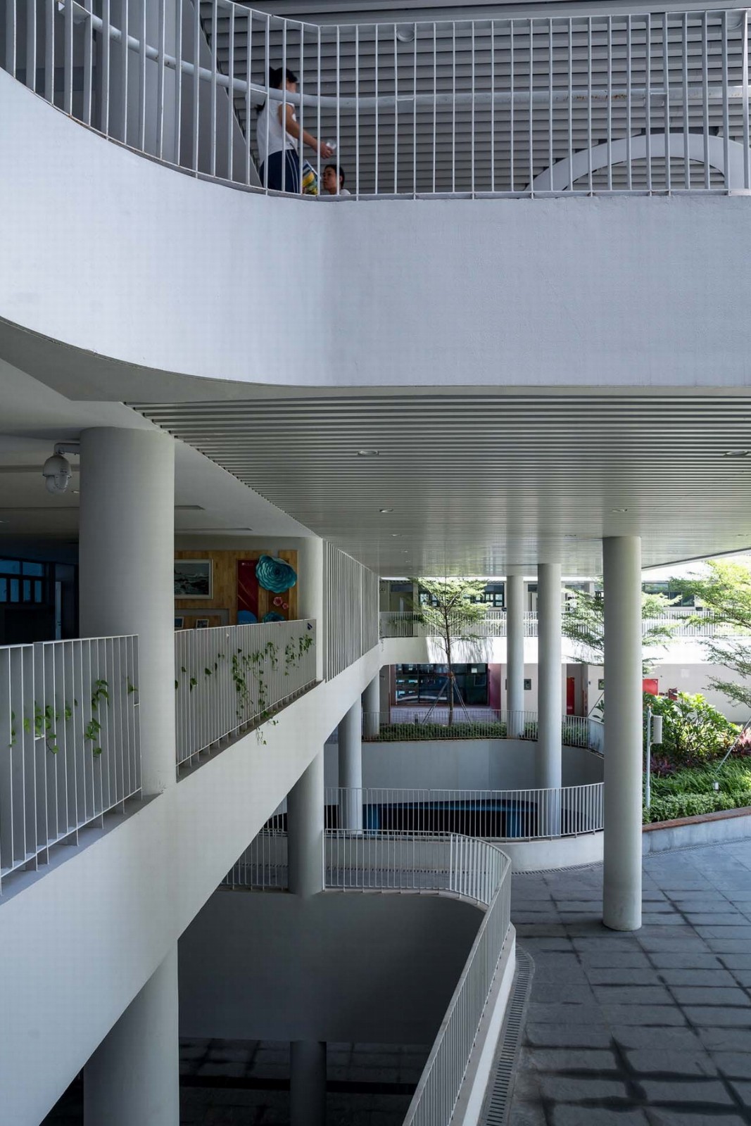 前海荔湾小学怎么样,前海三小荔湾小学