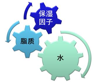 皮炎湿疹好了以后皮肤发红,湿疹反复发作能否转为皮炎