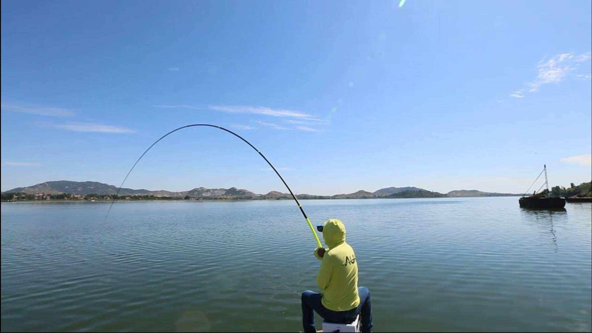 各品种鱼钓法习性,12种常见鱼的作钓技巧