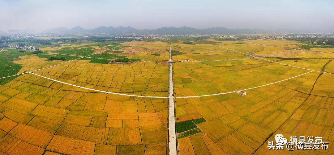 从县到市到省,从县到区的过程