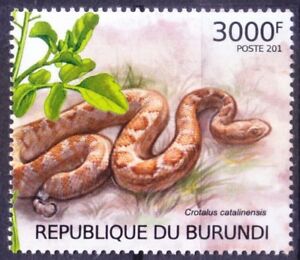 菲律宾喷毒眼镜蛇被咬,菲律宾毒蛇专家