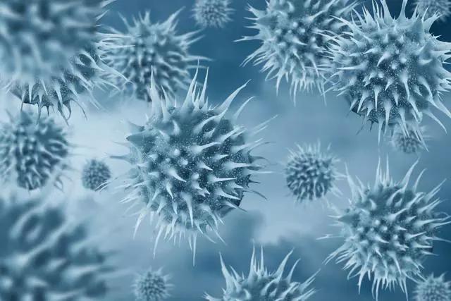 猪群流行性腹泻怎么办,猪腹泻可以打疫苗吗