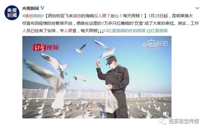 当人们追逐黄金和钻石的时候,当一个人渴望自由的时候