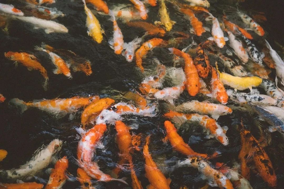 深圳3号线有哪些可以玩的,深圳7号线攻略