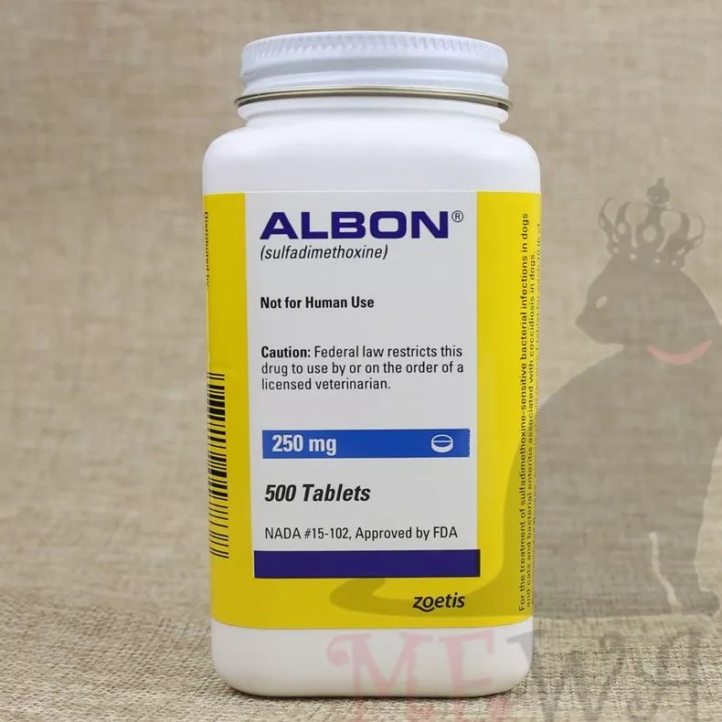 猫咪菊花外露，难道是用力过猛？