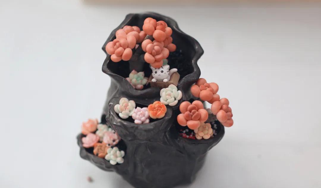 这个年销量上亿株多肉的县城，举办了首届多肉电商节