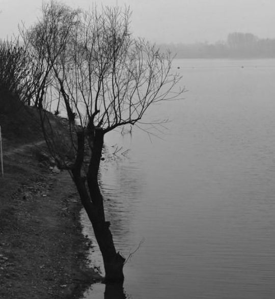 面对反反复复的抑郁情绪该怎么做,抑郁症反反复复发作怎么办