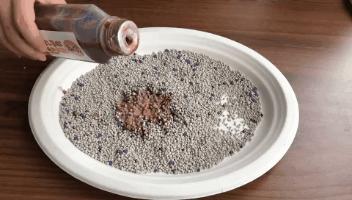 一张图了解猫咪的超能力,一张图看懂猫咪血气分析