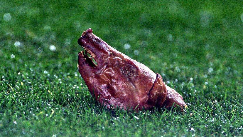 西班牙人1-0马洛卡,西班牙人对阵马洛卡半全场