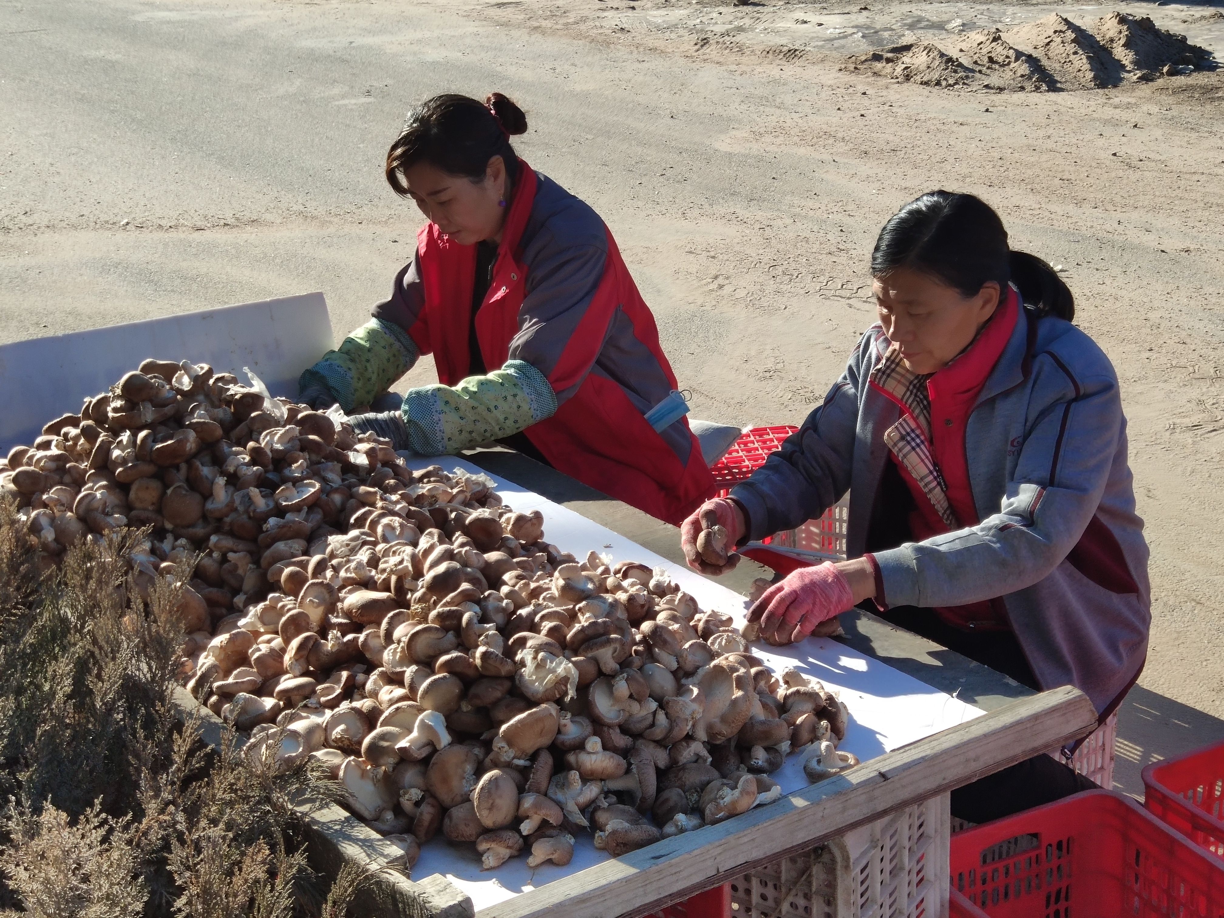 回望脱贫路⑧丨八年之后曾经的国家级贫困县阜平什么样了？