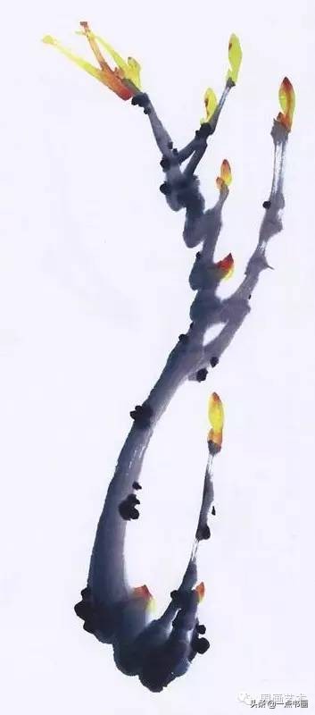 齐白石牡丹国画写意作品,写意国画牡丹的用笔技巧