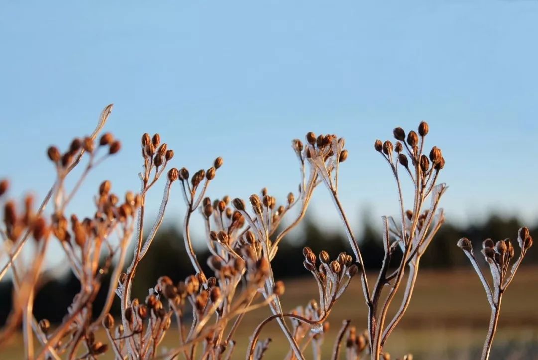 跳跃的乐章,跳跃的旋律原唱
