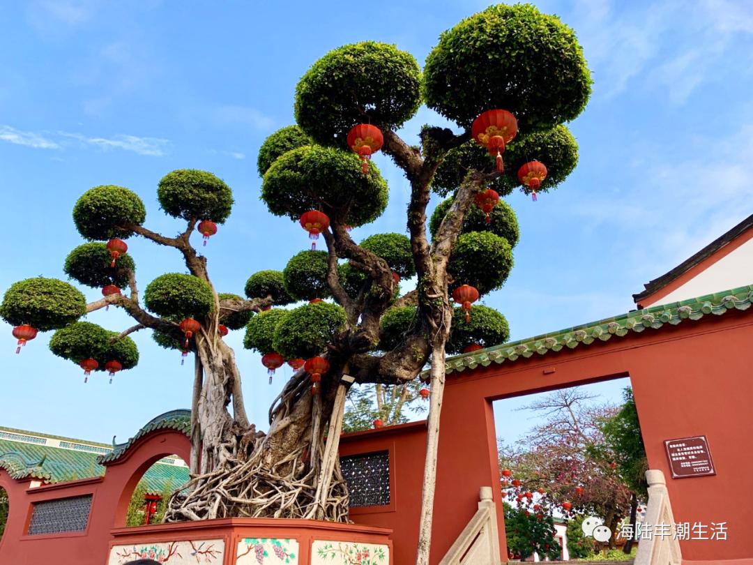 汕尾玄武山灵吗,汕尾玄武山景区