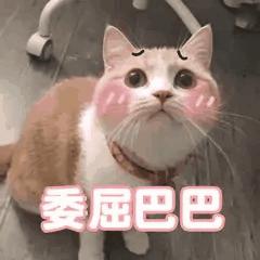 今日表情包第三弹图片,今日表情包收藏