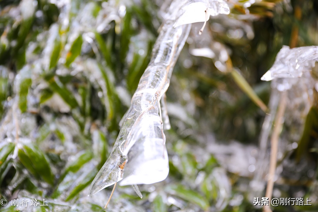 华东第一竹海之称的地方，冬季里冰花最吸引人