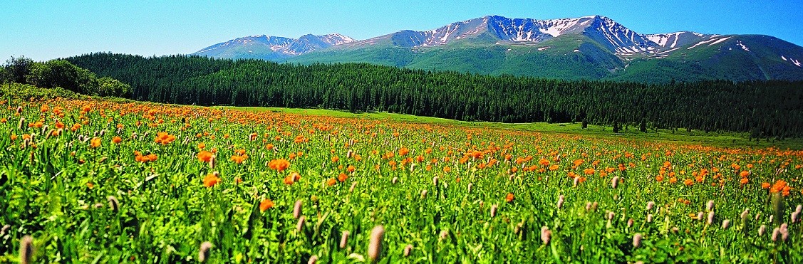 【跋涉边境亲吻祖国】58、奇台:红花似火的边境县…