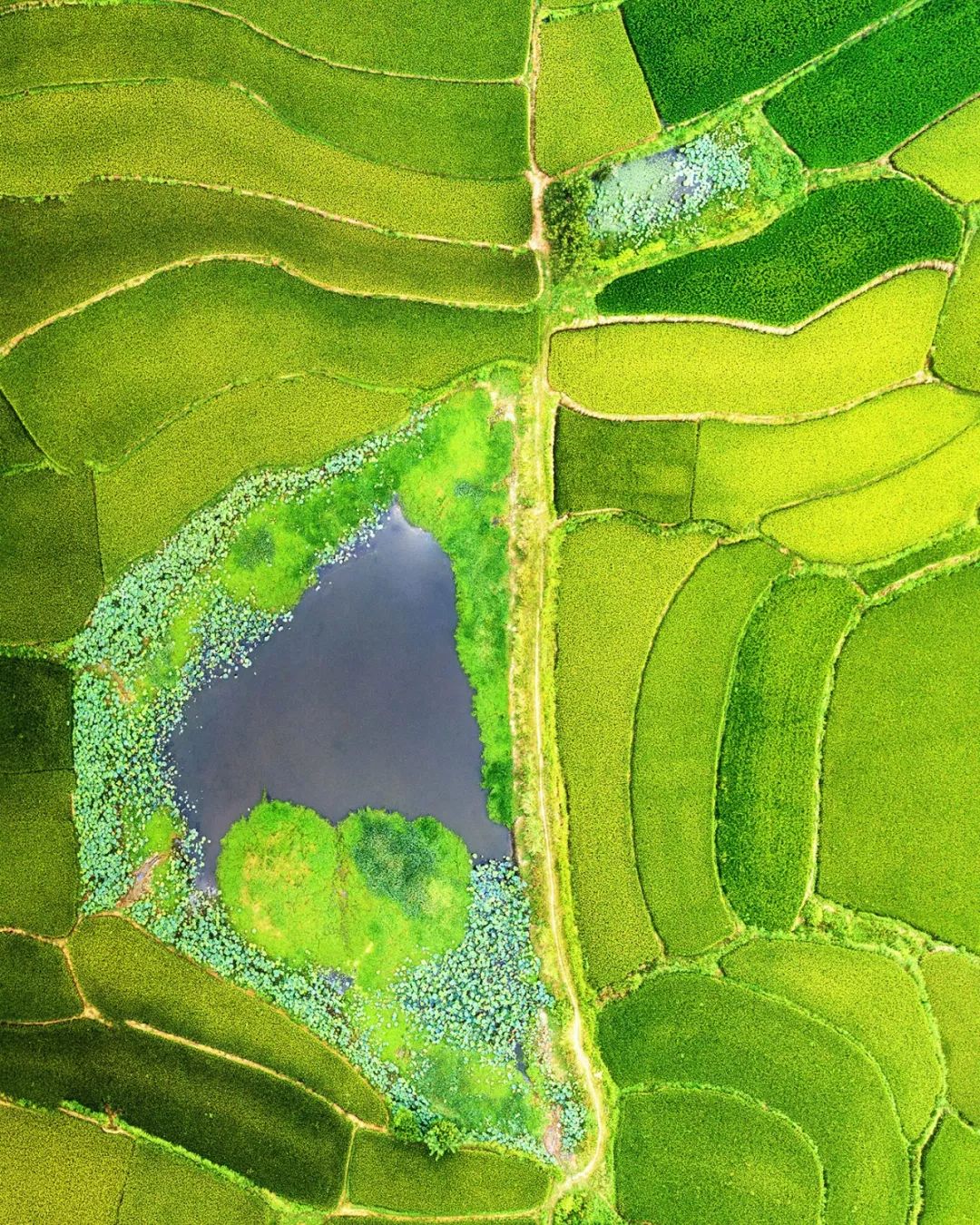 信阳人和河南人的关系,河南人与信阳人